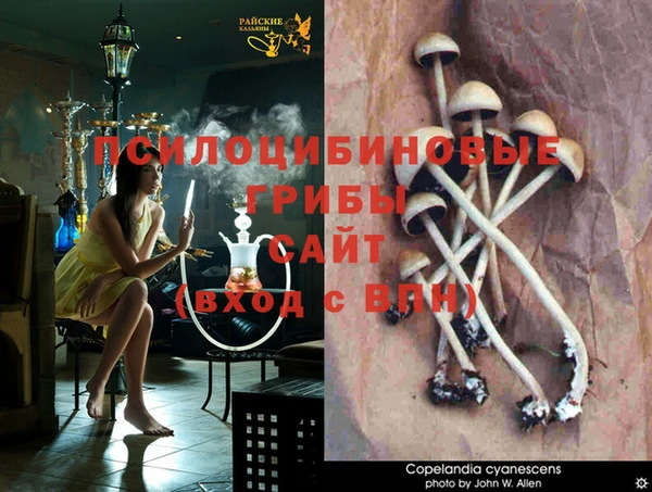 кокаин колумбия Алексеевка