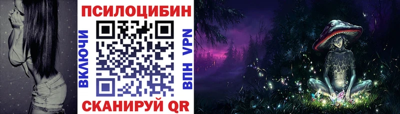 сколько стоит  Алупка  Псилоцибиновые грибы мицелий 